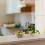 Alojamento de Acomodação e Pequeno-almoço 29